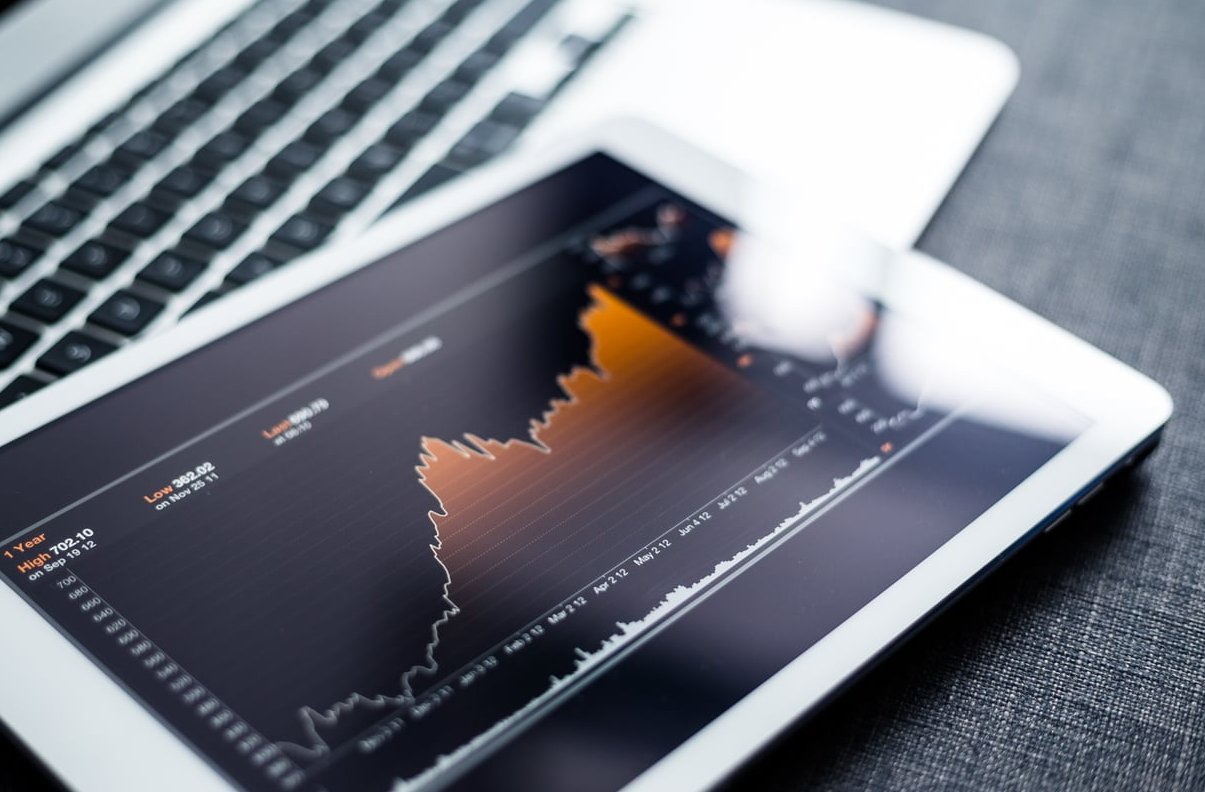 seo growth chart